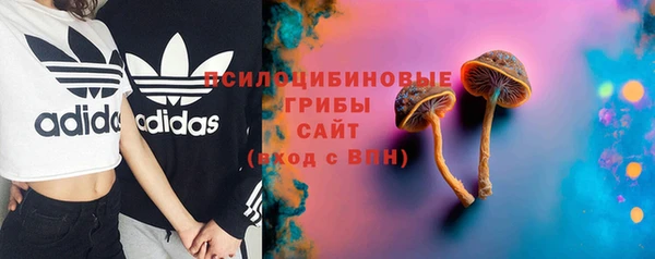 гашиш Осинники