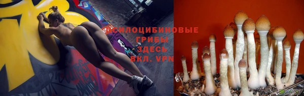 мескалин Осташков