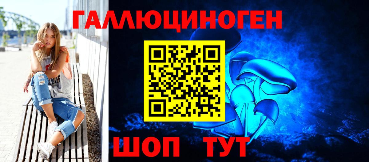 Псилоцибиновые грибы Psilocybe Калининград